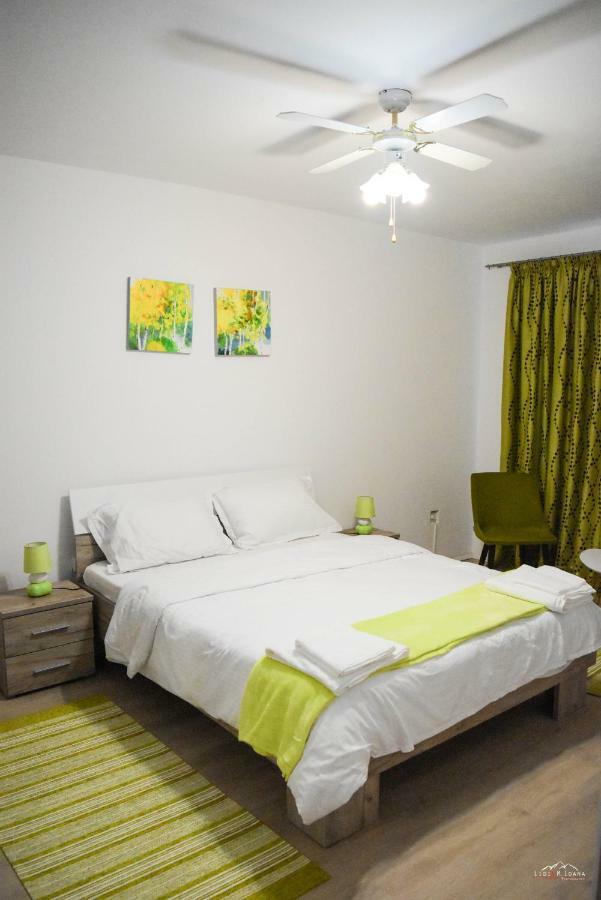 Spacious And Cozy 3Bd+Terrace Couples Apartment Timişoara Exteriör bild