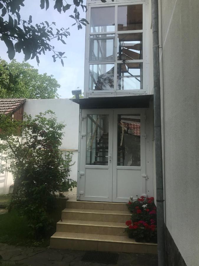 Spacious And Cozy 3Bd+Terrace Couples Apartment Timişoara Exteriör bild