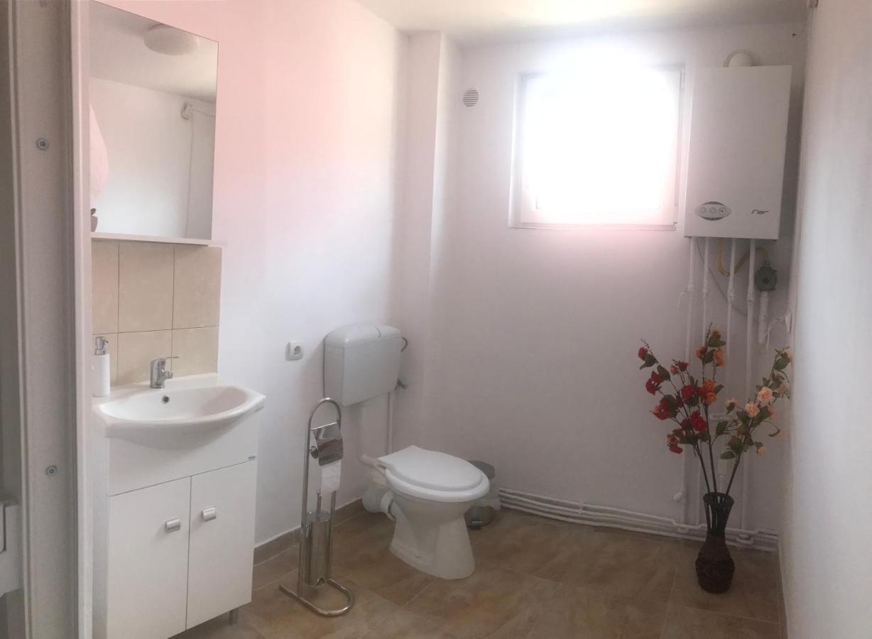 Spacious And Cozy 3Bd+Terrace Couples Apartment Timişoara Exteriör bild